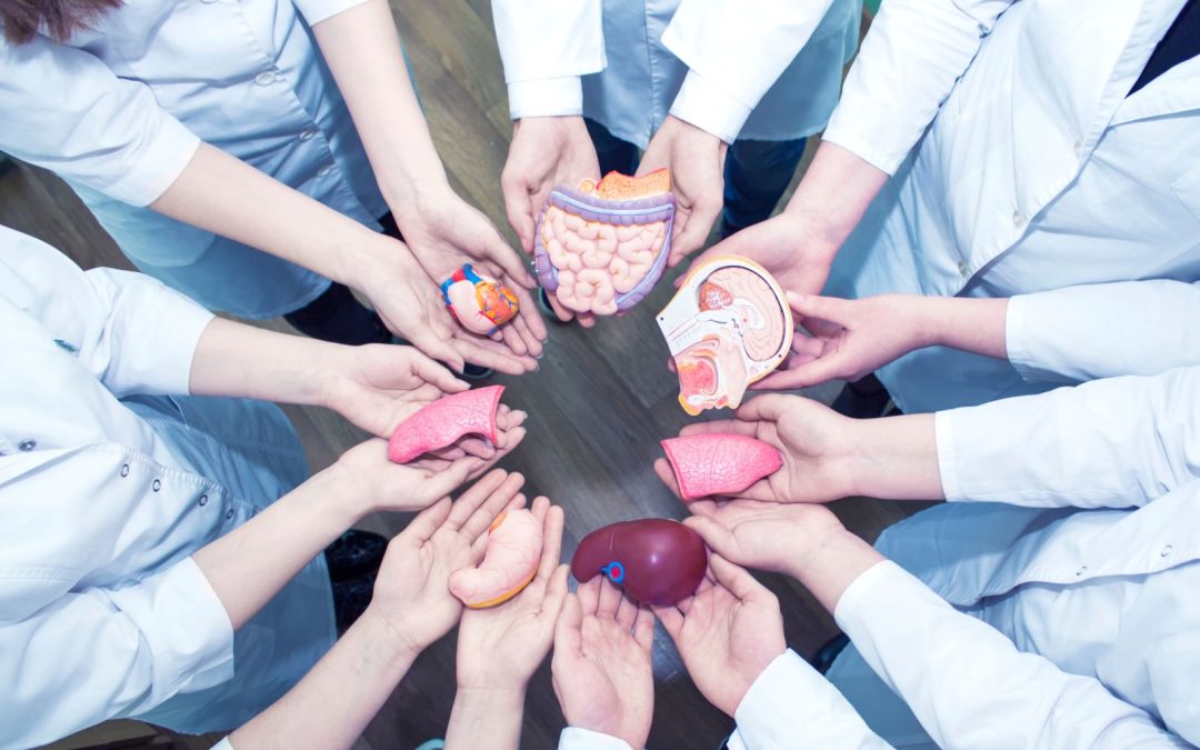 The Essential Nature Of Oral Health in Transplant Patients